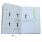 Preview: Figure Book Silks 1