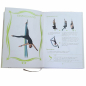 Preview: Figure Book Silks 1